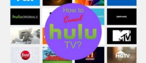 Cancel Hulu membership