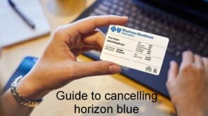 Blue Cross Blue Shield Cancellation
